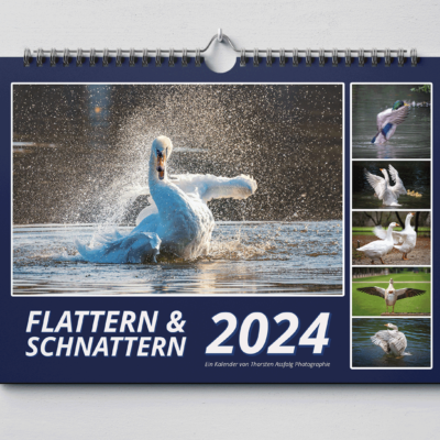 Tier Kalender 2024 Flattern Schnattern 1