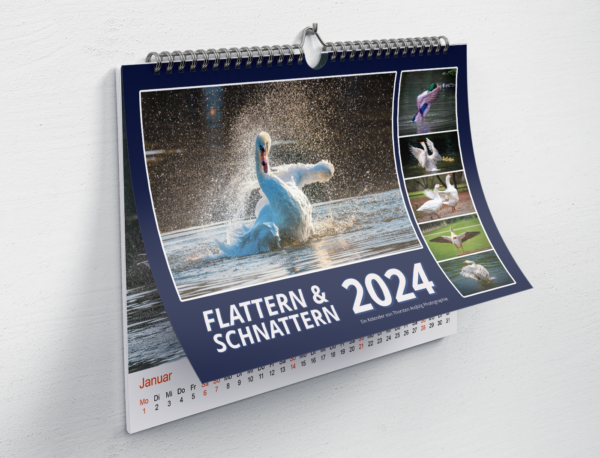 Tier Kalender 2024 Flattern Schnattern 2