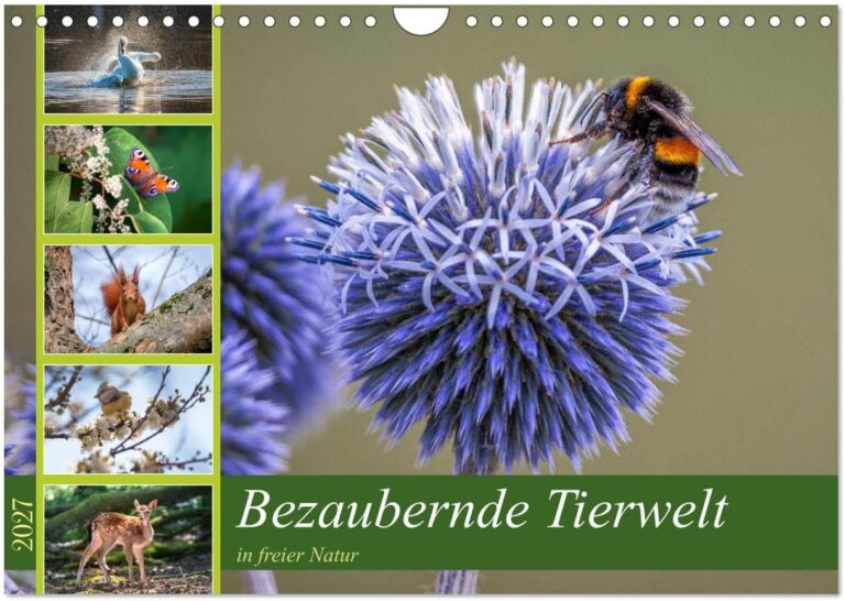 Bezaubernde Tierwelt in freier Natur - Kalender 2027-1