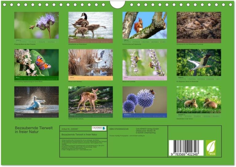 Bezaubernde Tierwelt in freier Natur - Kalender 2027-2