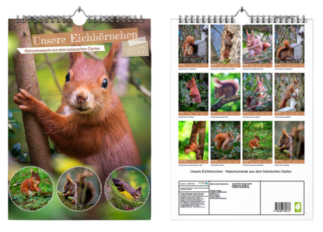 Unsere Eichhörnchen - Naturmomente aus dem heimischen Garten - Kalender