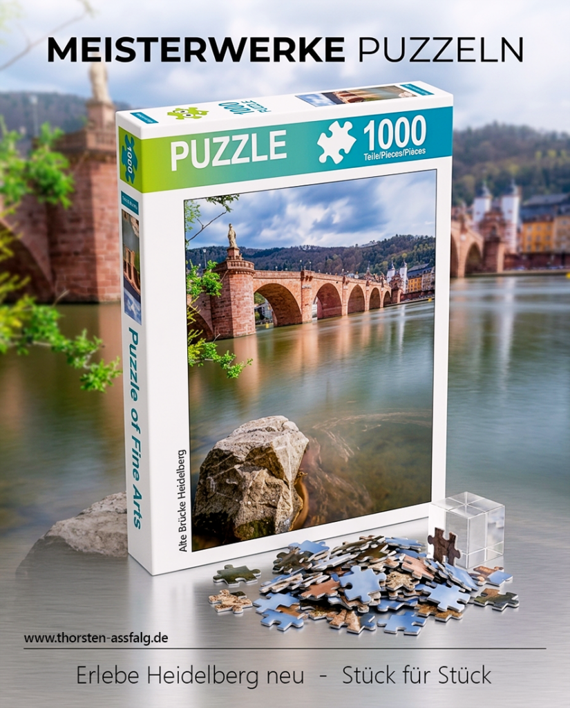 Heidelberg-Puzzle 1000 Teile