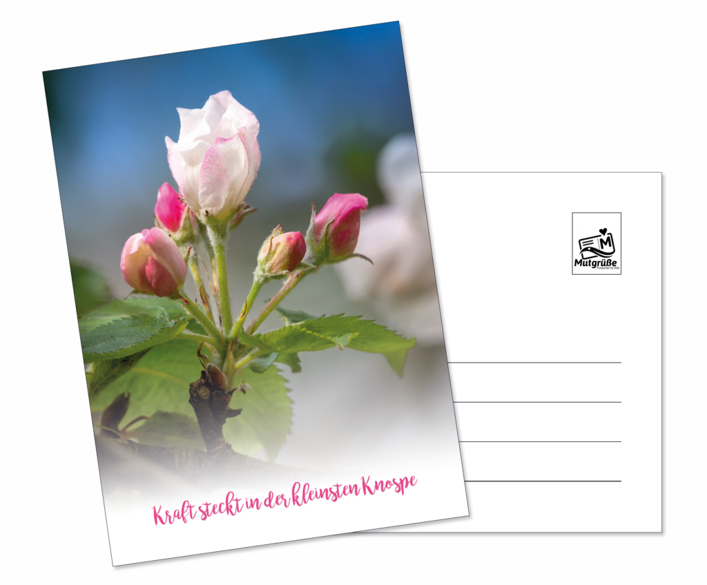 Artikel-Nr.-PKMG002-Postkarte-Knospe-Kraft-1-1024x847