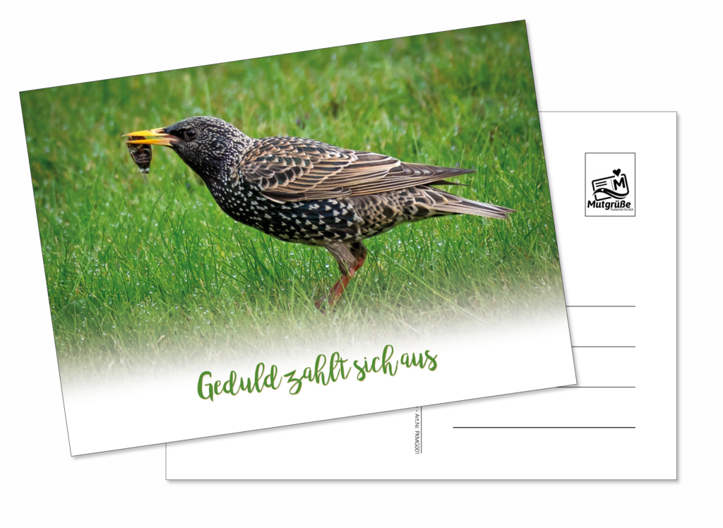 Artikel-Nr.-PKMG005-Postkarte-Geduld-zahlt-sich-aus-1024x748
