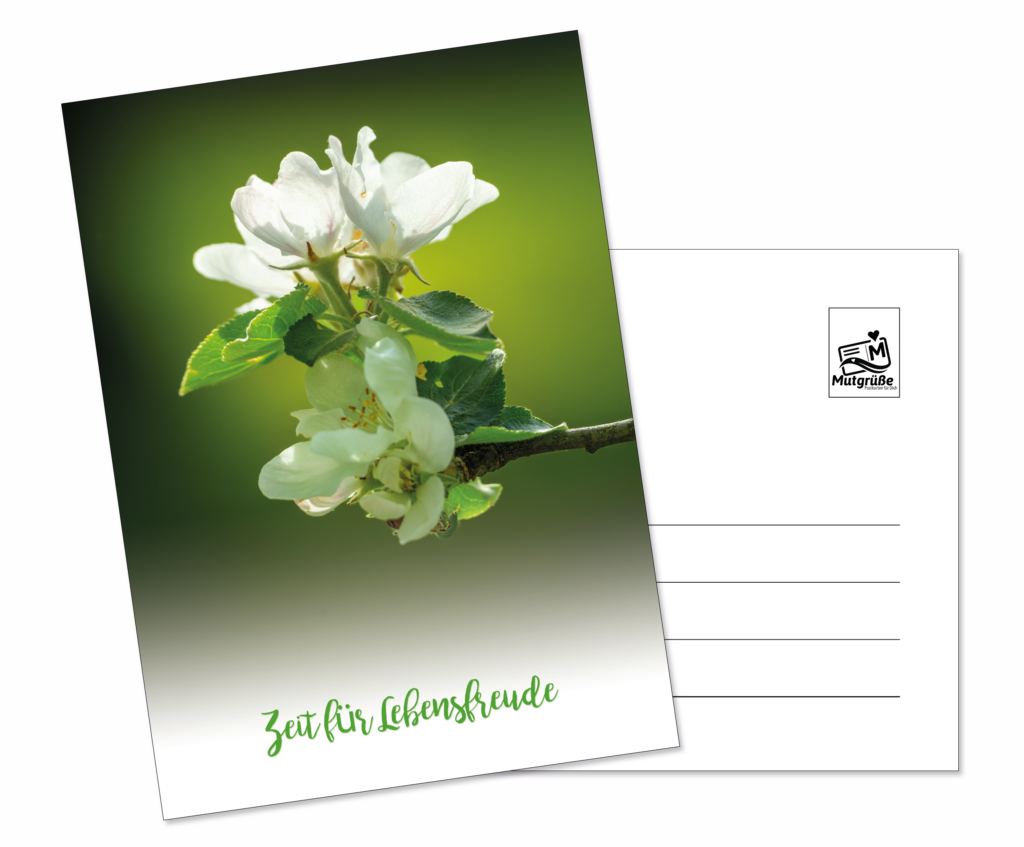 Artikel-Nr.-PKMG007-Postkarte-Zeit-fuer-Lebensfreude-1024x847