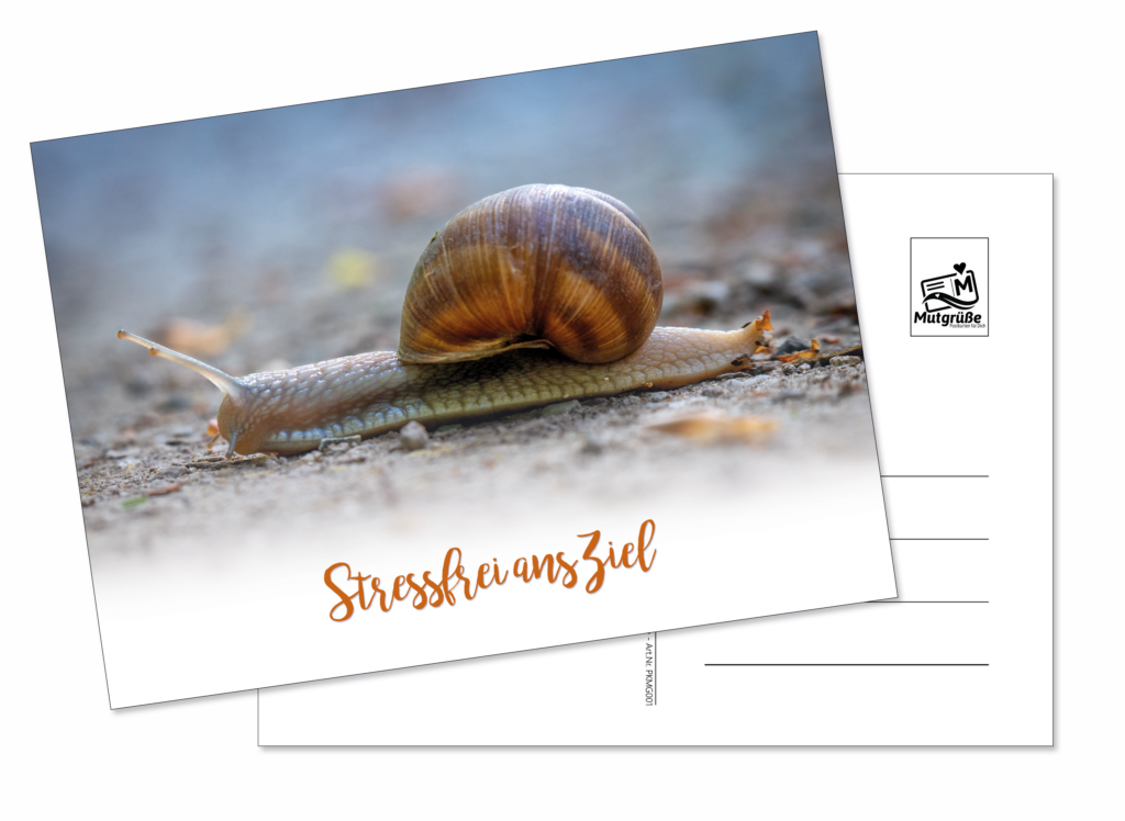 Artikel-Nr.-PKMG008-Postkarte-Stressfrei-Ziel-erreichen-1024x748